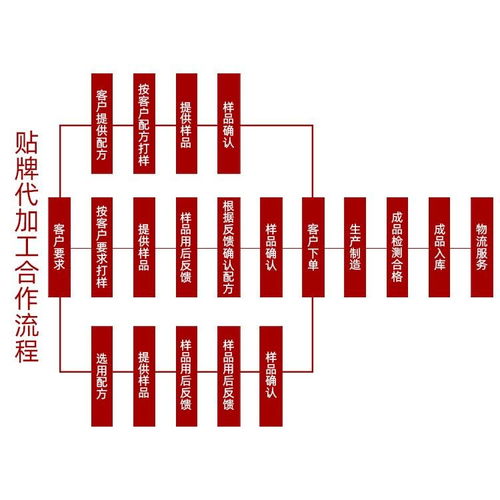 长垣主播食品带货代加工厂家服务为先 源头厂家